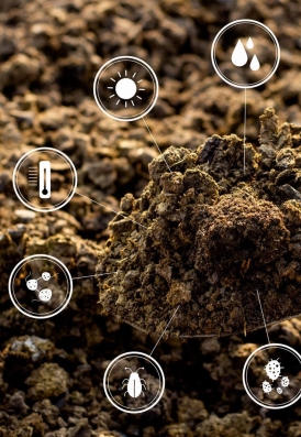 FERTILIZER 